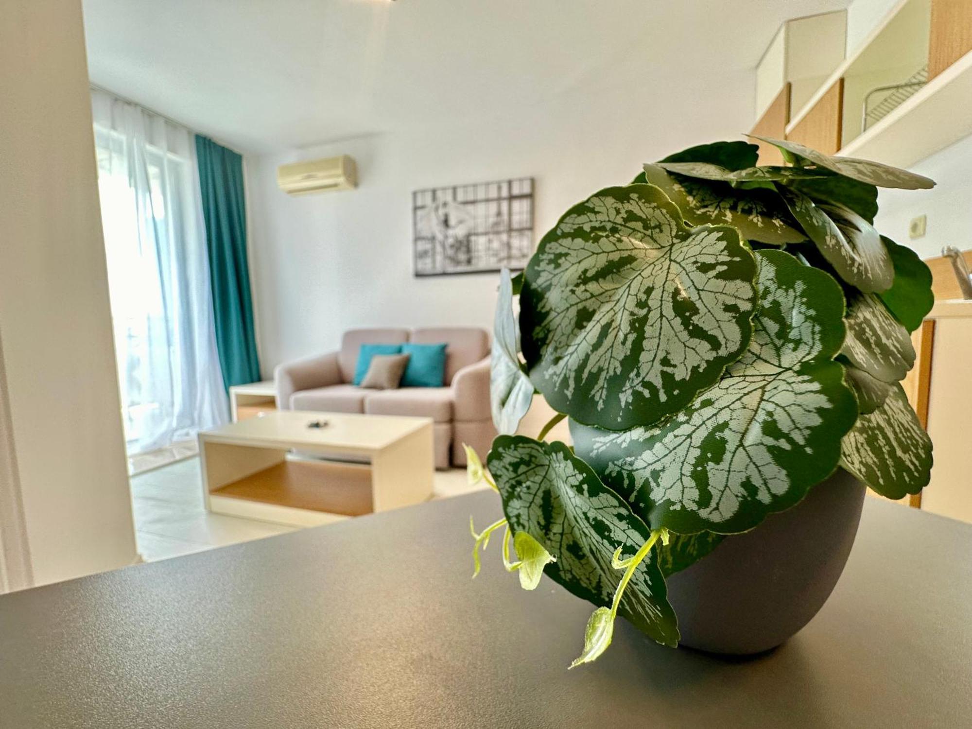 Menada Rainbow Apartments Sluneční pobřeží Pokoj fotografie